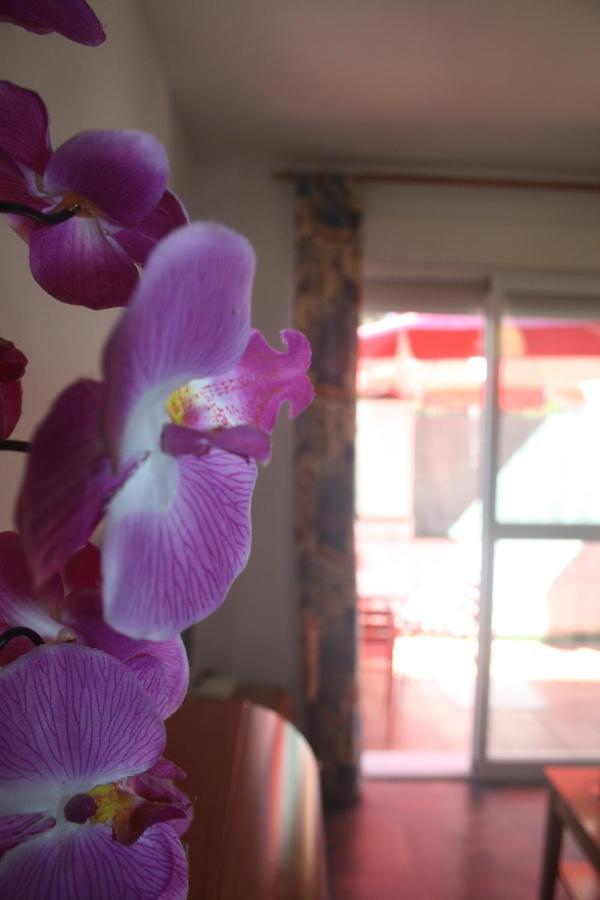 Apartamento Calle De La Cordera, 3 Torremolinos Bagian luar foto