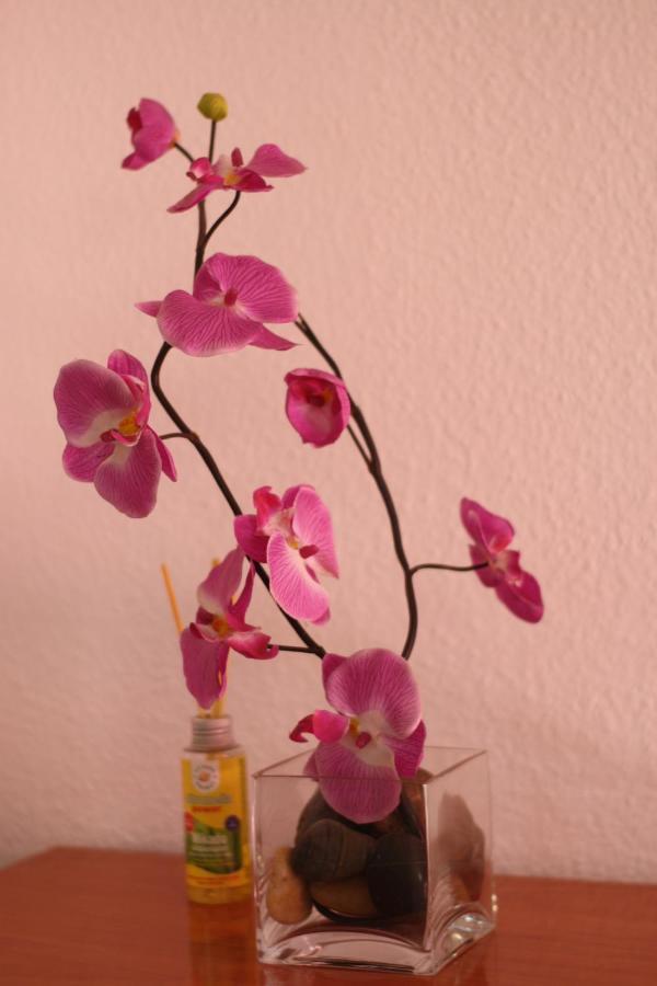 Apartamento Calle De La Cordera, 3 Torremolinos Bagian luar foto